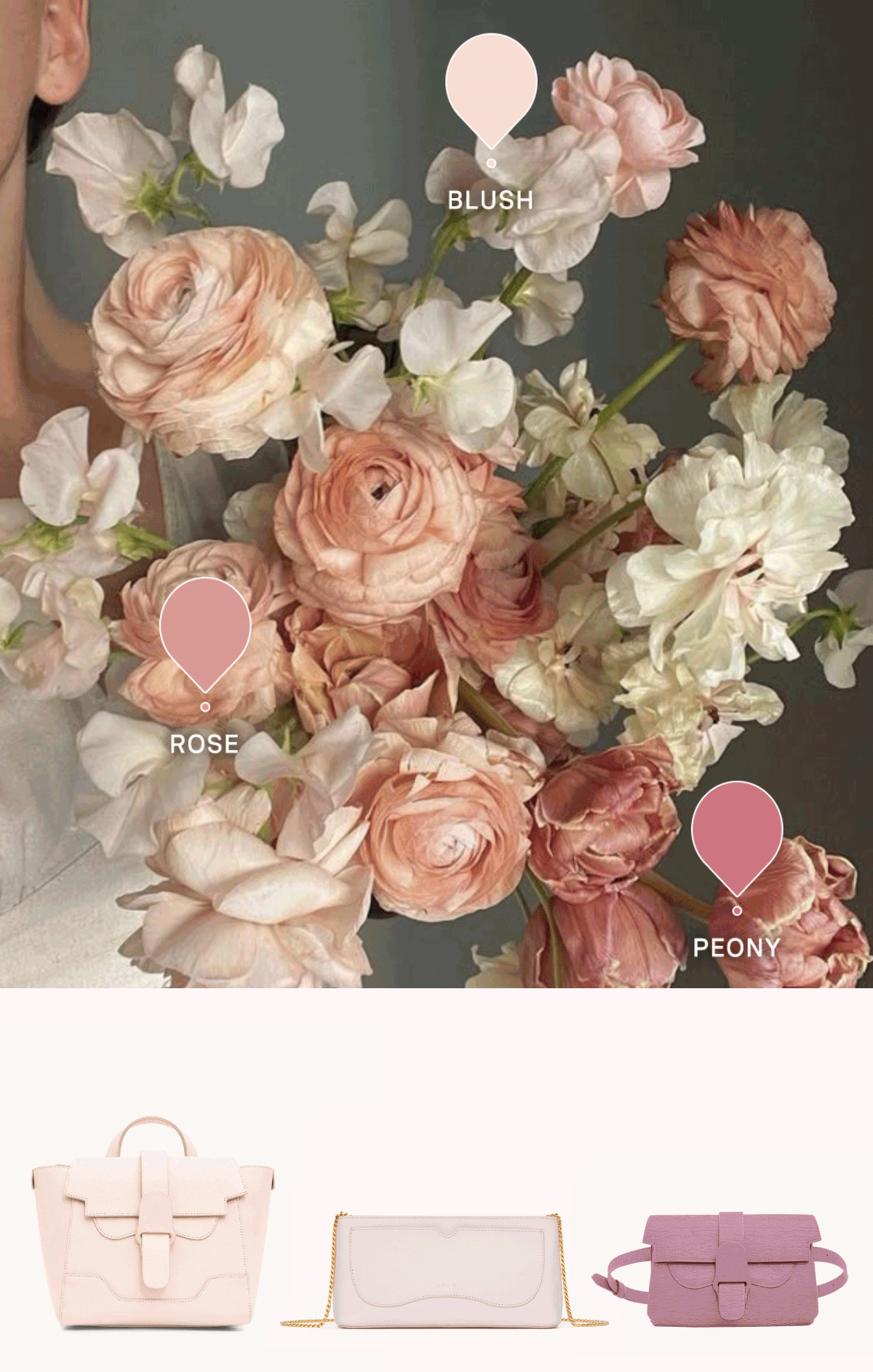 Spring Palette Sale - Color