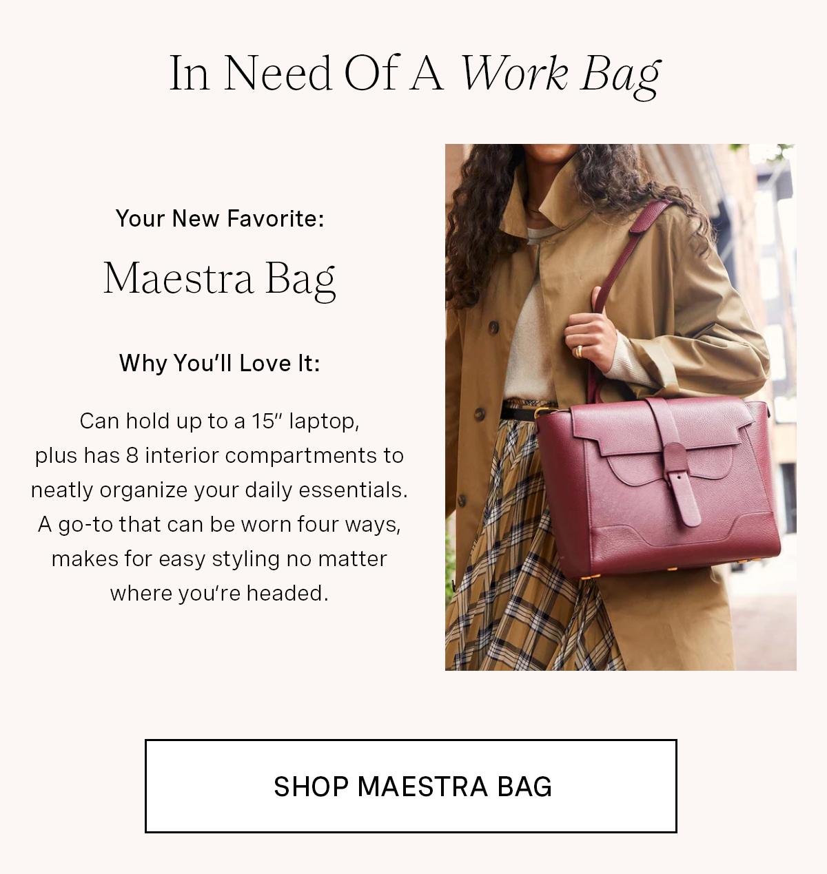 Maestra Bag in Merlot