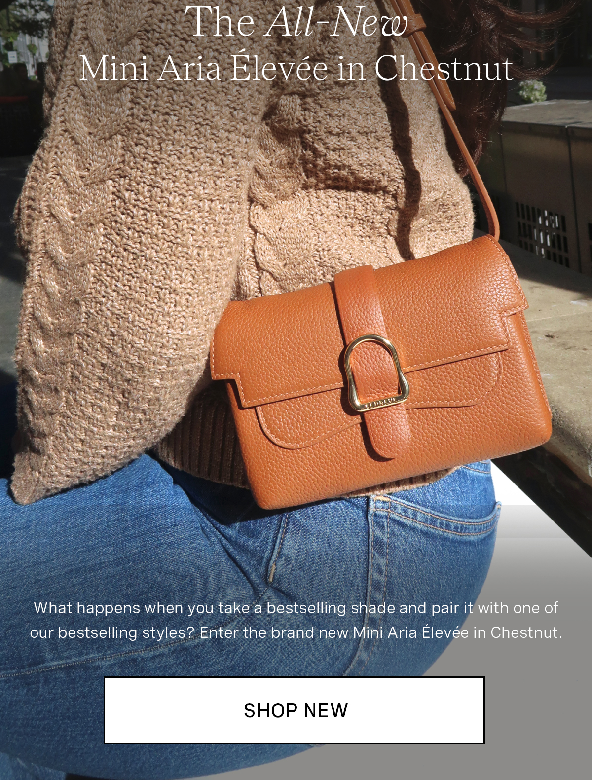 Mini Aria Elevee in Chesnut