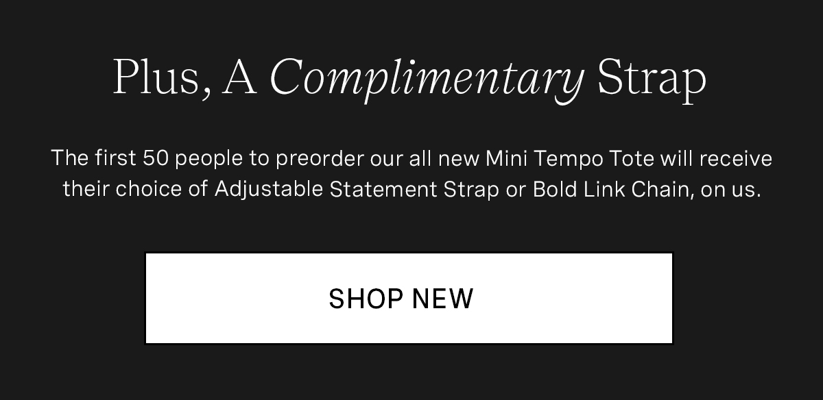 Mini Tempo Tote