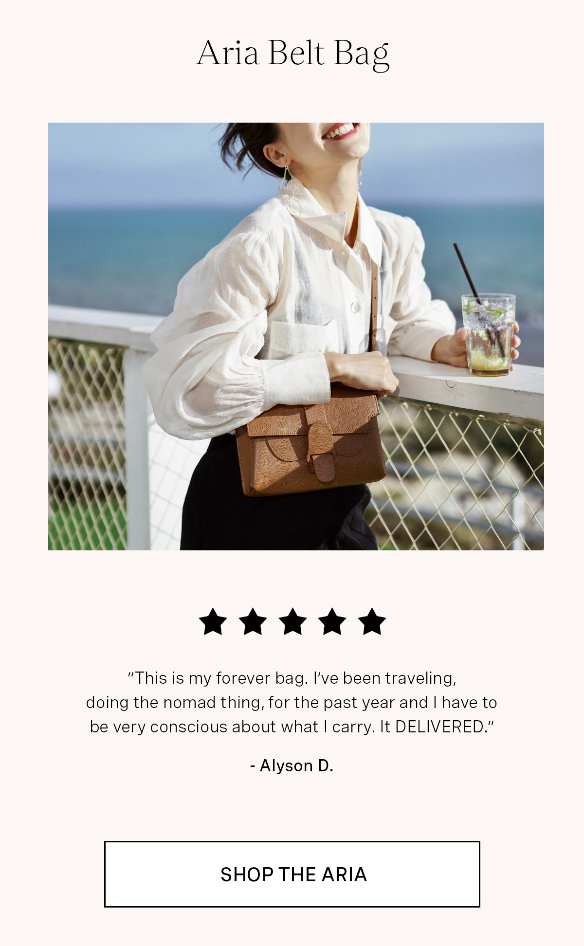 Aria Belt Bag Pebbled Chestnut