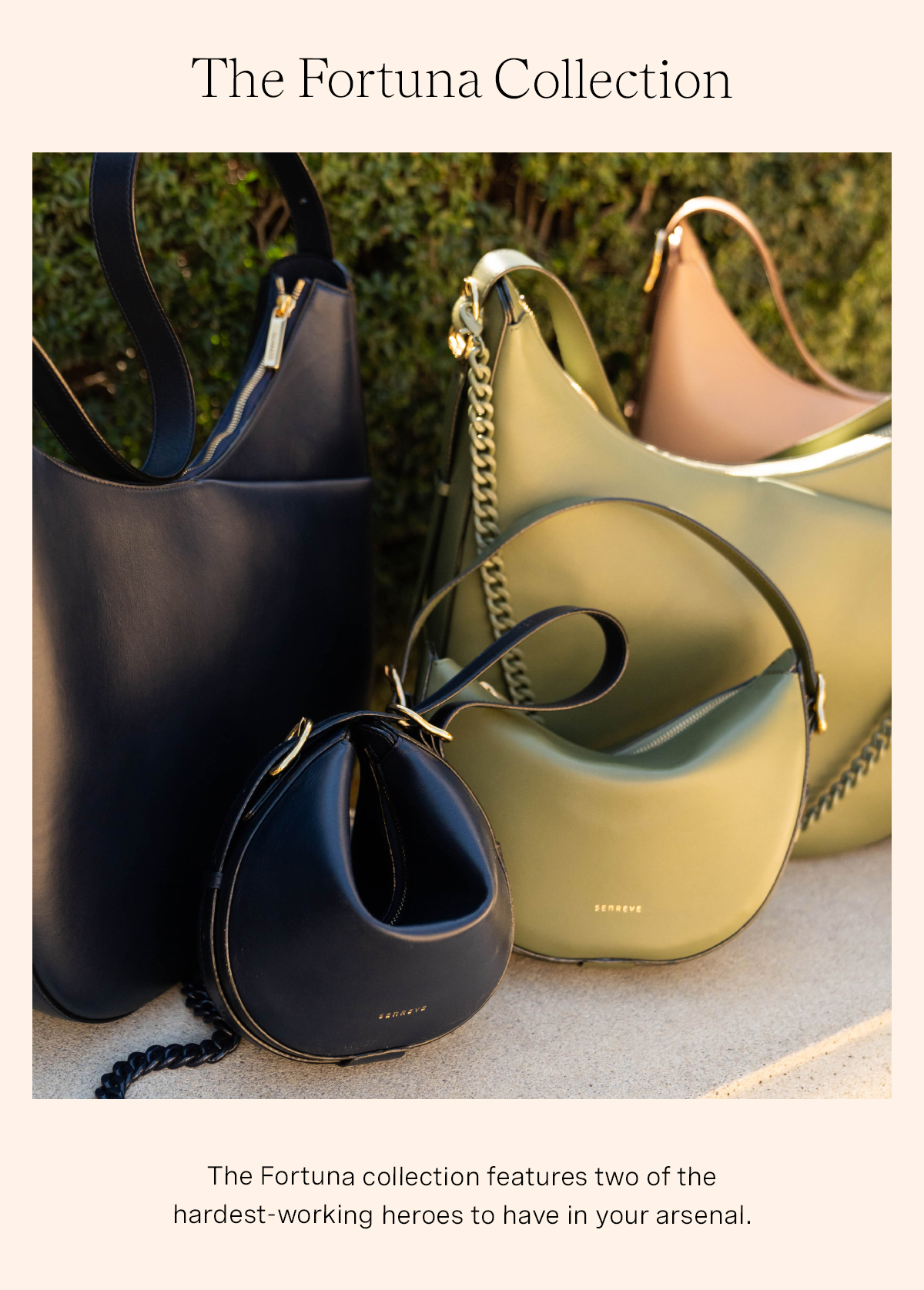 The Fortuna Collection