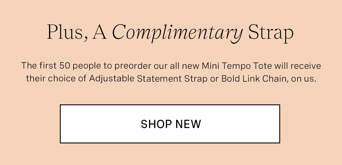 Mini Tempo Tote