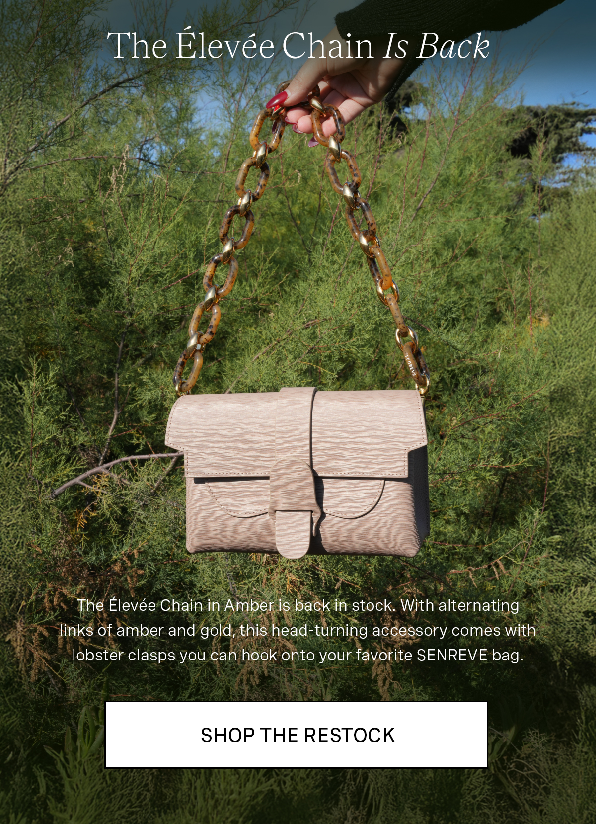 Elevee Acetate Chain in Amber