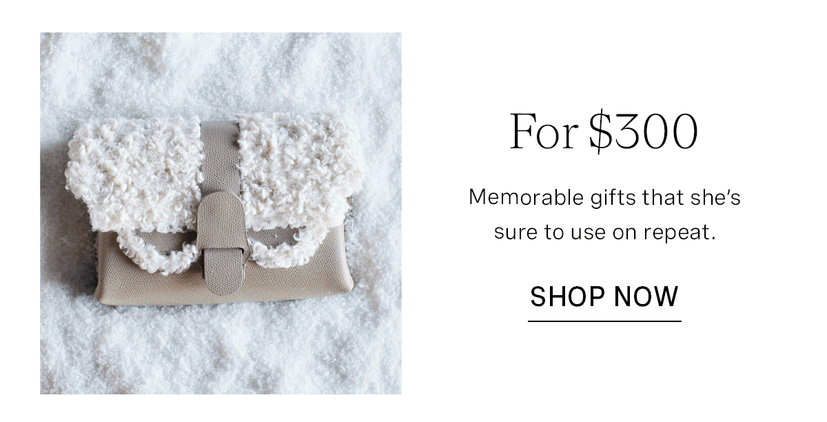 Holiday Flash Sale - for $300