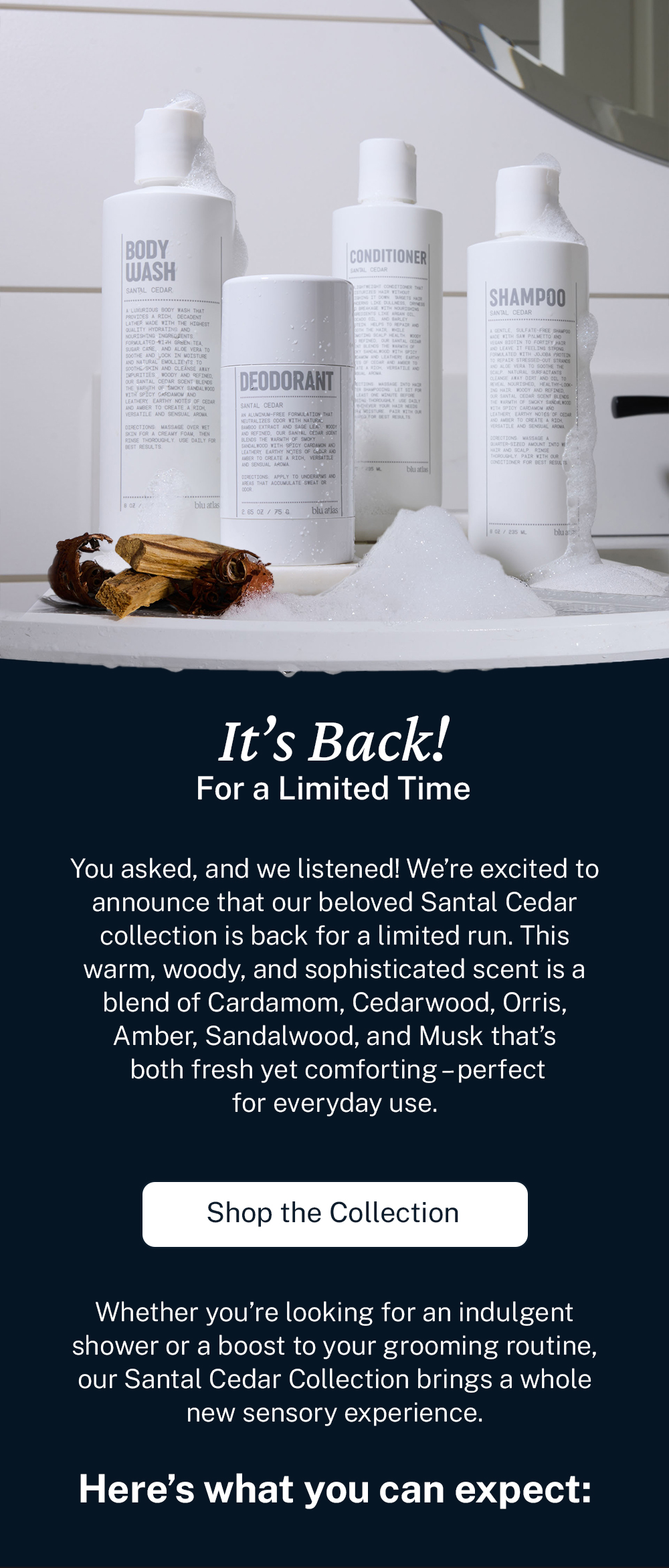 [Santal is Back: Limited Time]