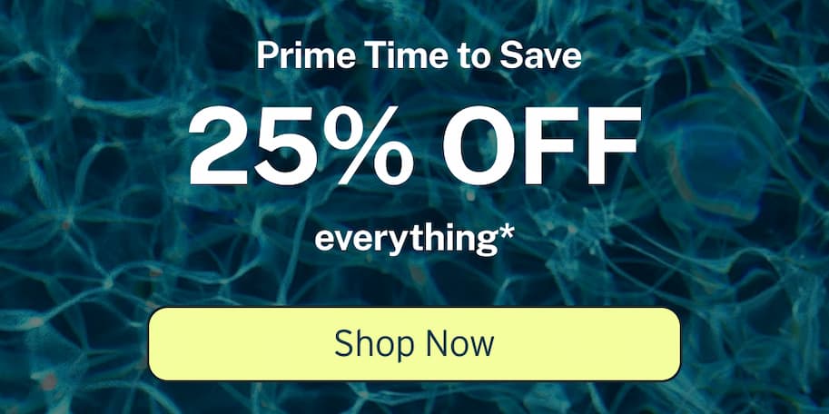 Prime time to save - 25% off everything