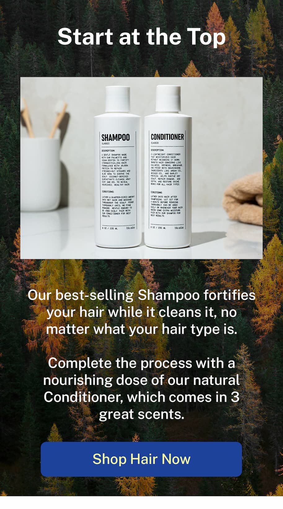 Shop hair