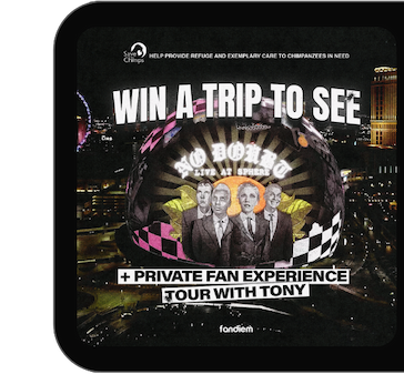 Win a trip to see No Doubt