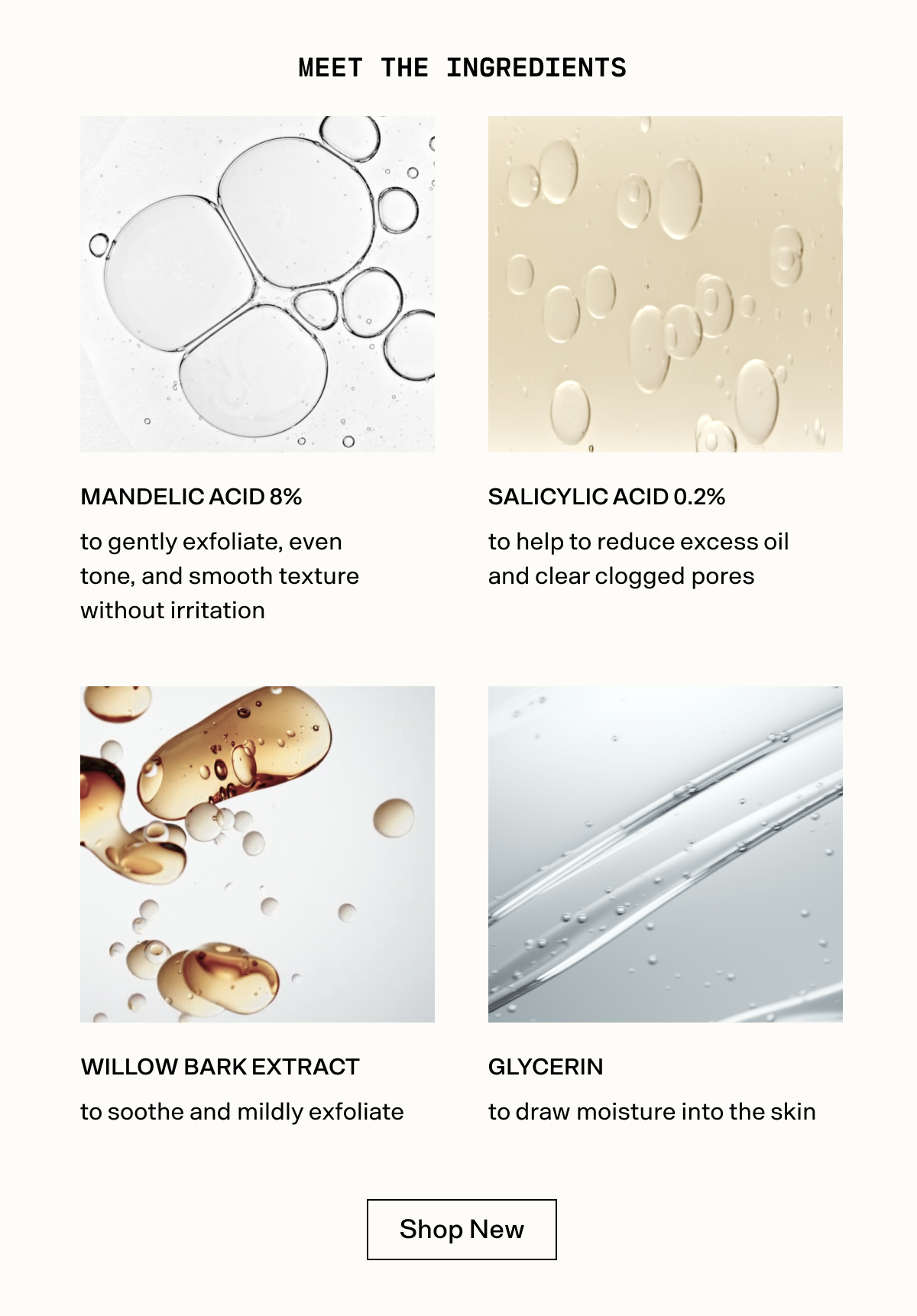 Meet-The-Ingredients