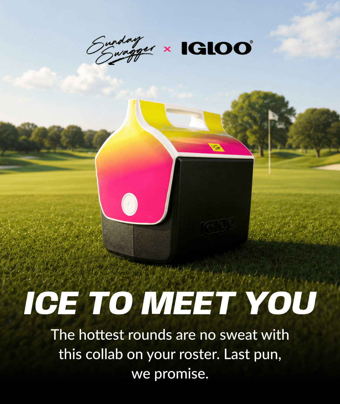 ICE TO MEET YOU