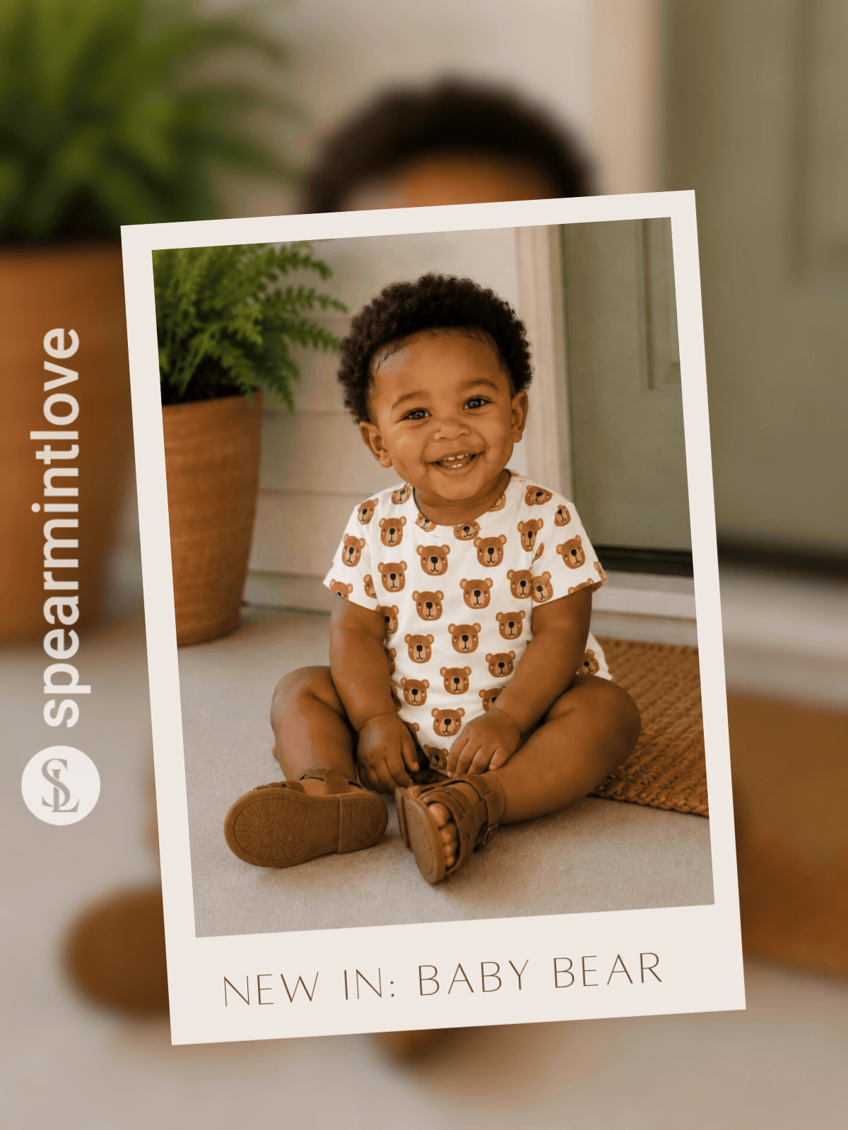 New in: Baby Bear 