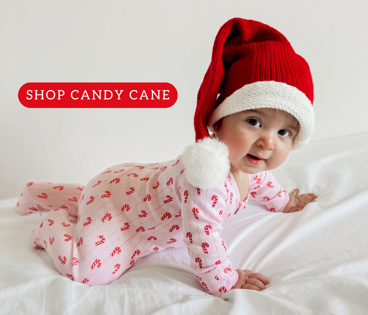 Shop Candy Cane