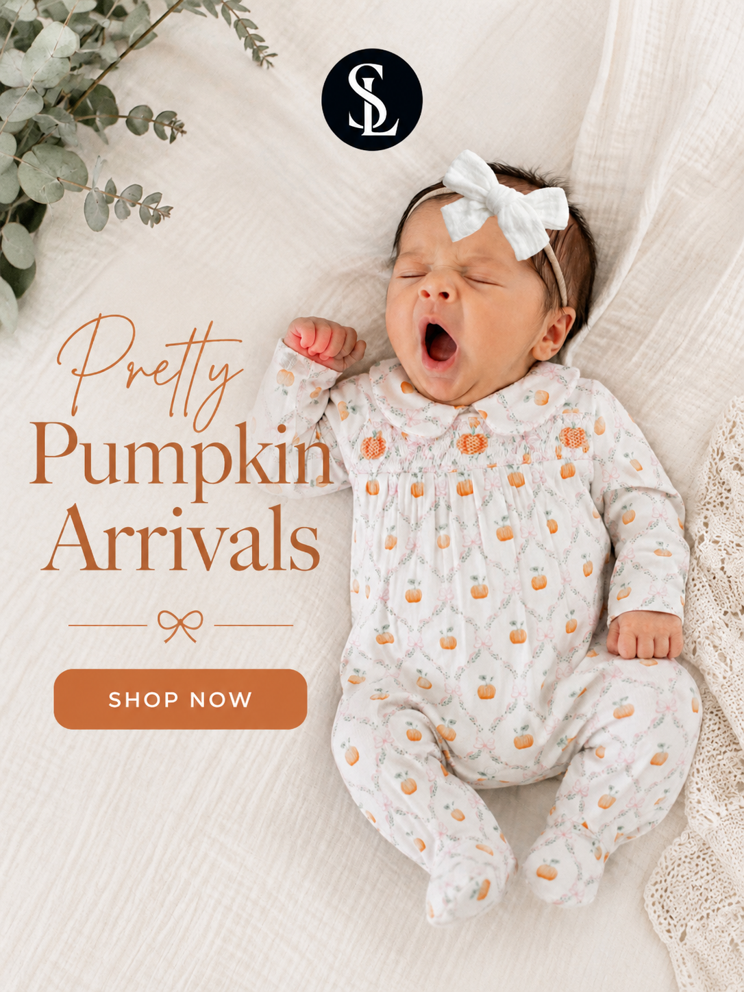 Pretty Pumpkin Arrivals 