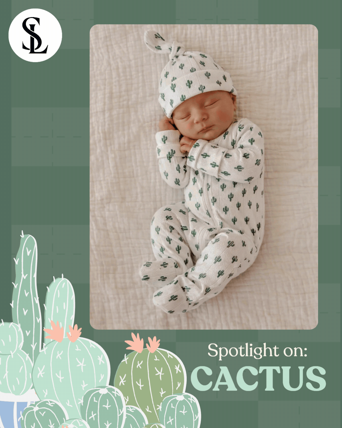 Spotlight On: Cactus Pointelle