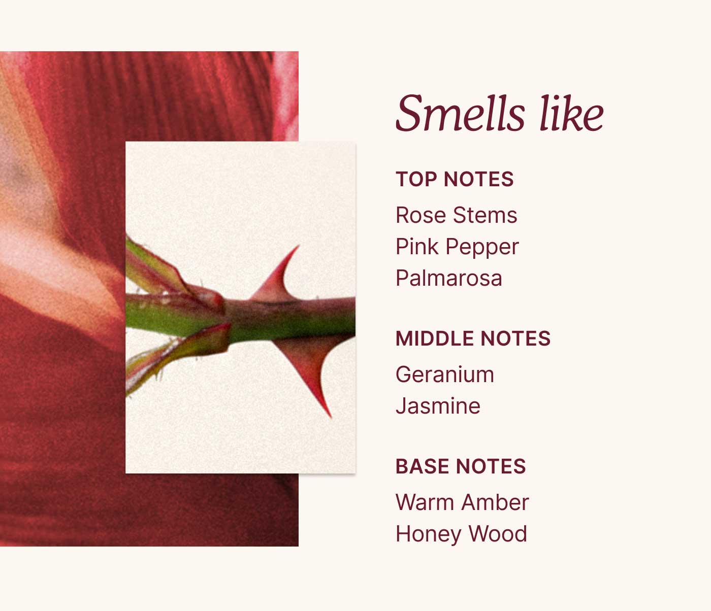Smells like  TOP NOTES Rose Stems Pink Pepper Palmarosa  MIDDLE NOTES Geranium Jasmine  BASE NOTES Warm Amber Honey Wood