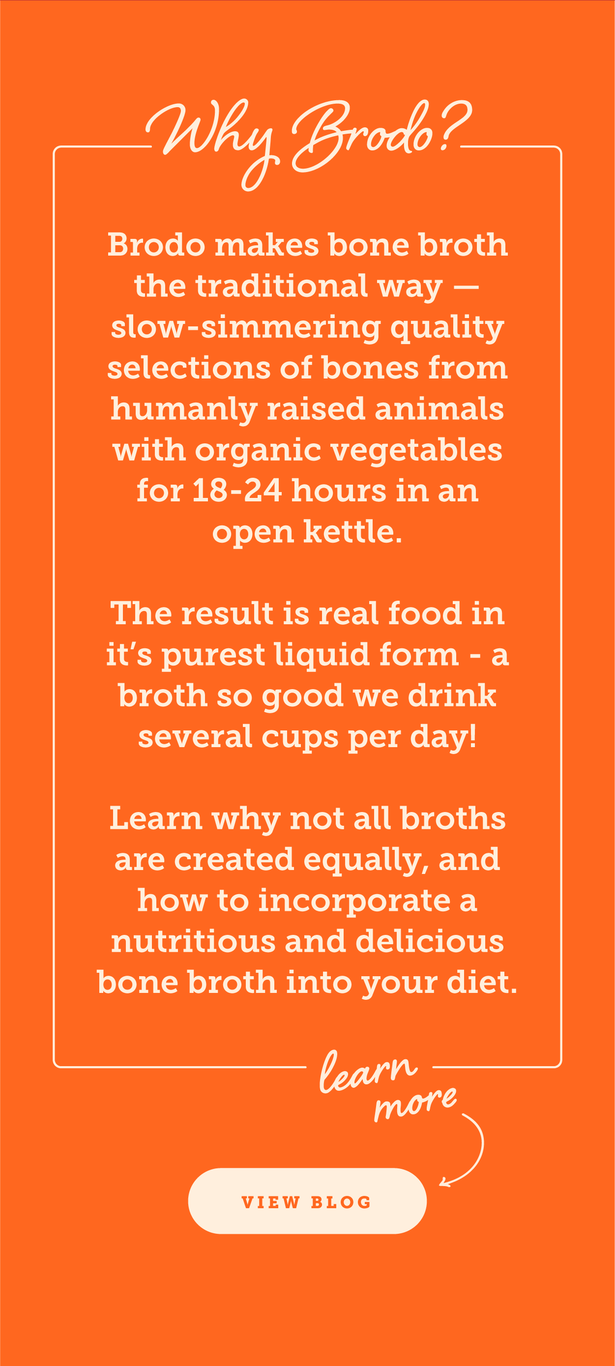 What is Bone Broth? 🤔 Brodo