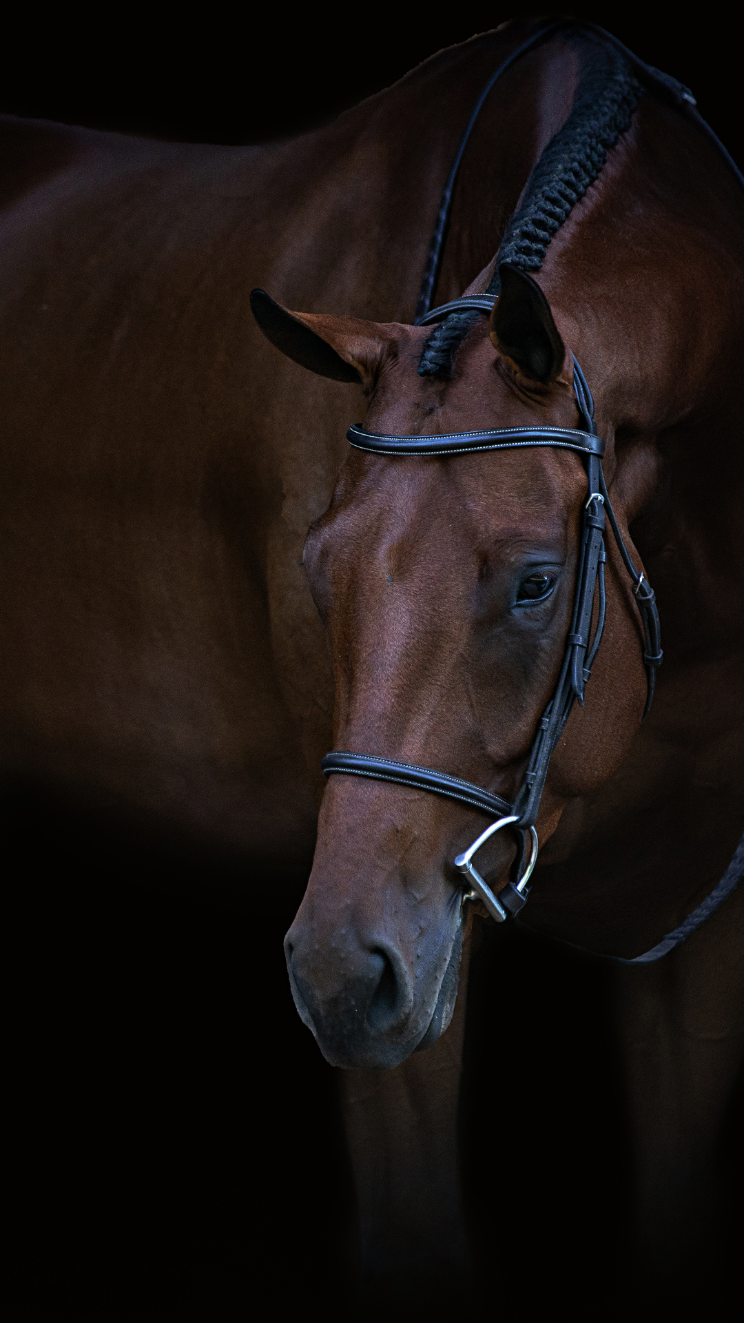 Shires ARMA Lite Saddle Pad