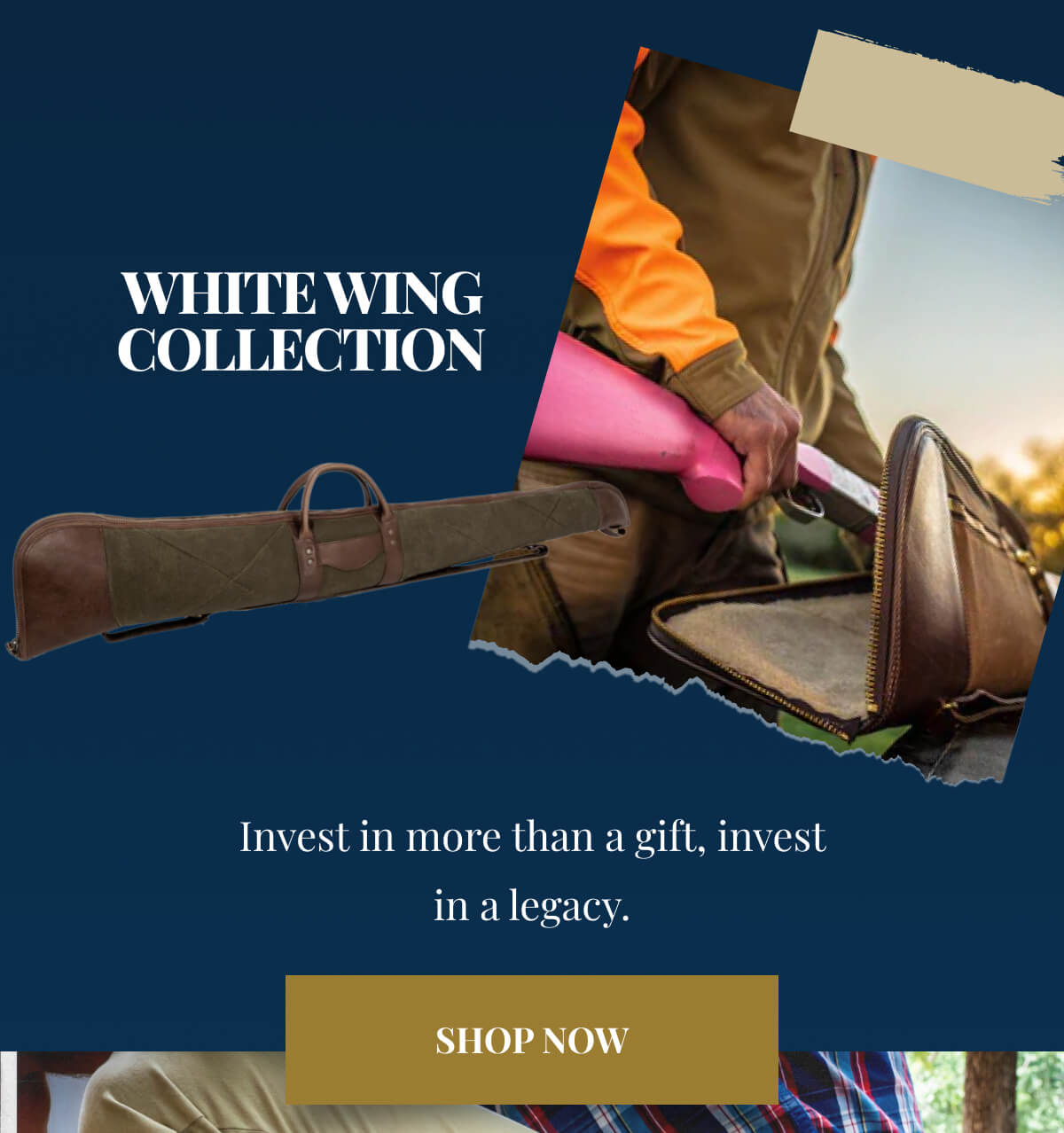 White Wing Collection