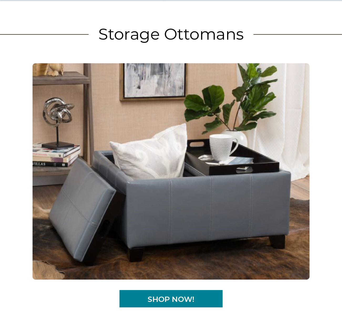Storage Ottomans 