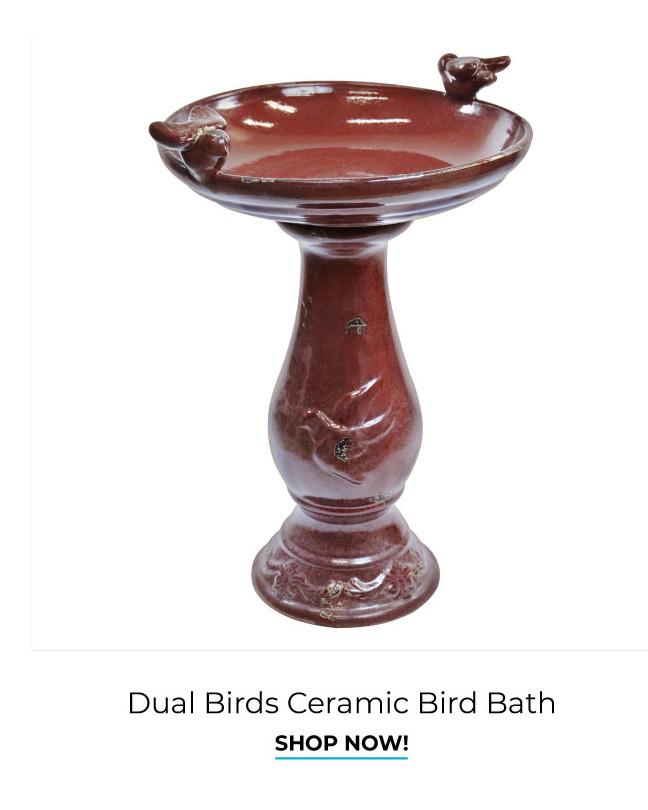 Dual Birds Ceramic Bird Bath | Shop Now!