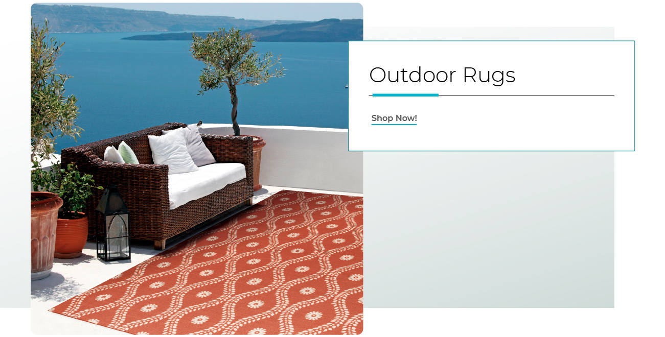 Outdoor Rugs