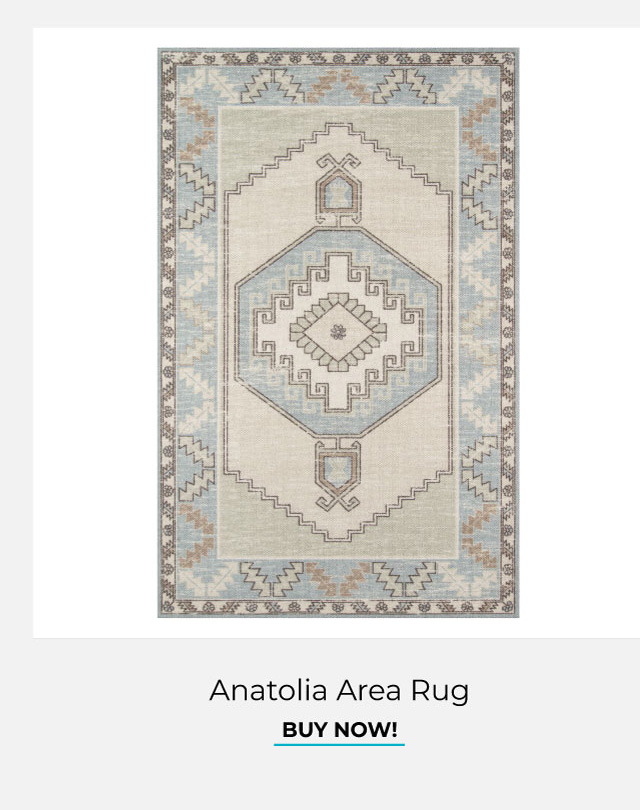 Anatolia Area Rug | Shop Now!