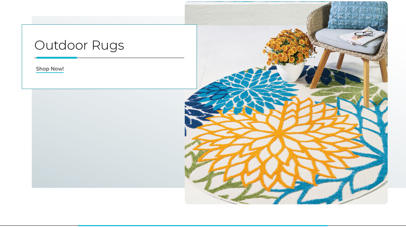 Outdoor Rugs