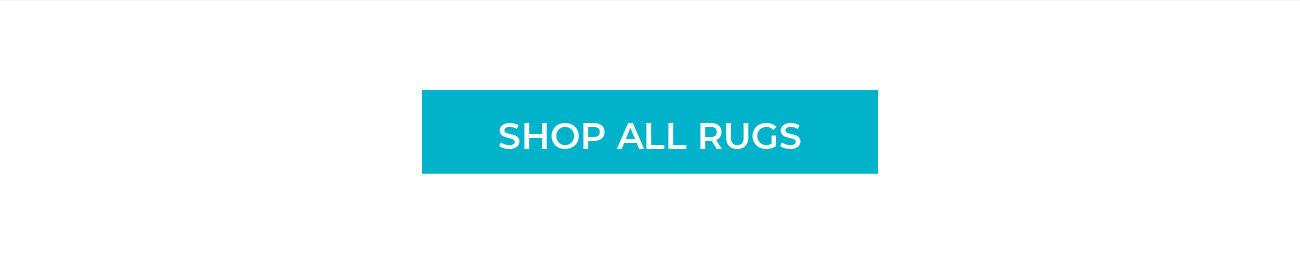 Shop All Rugs