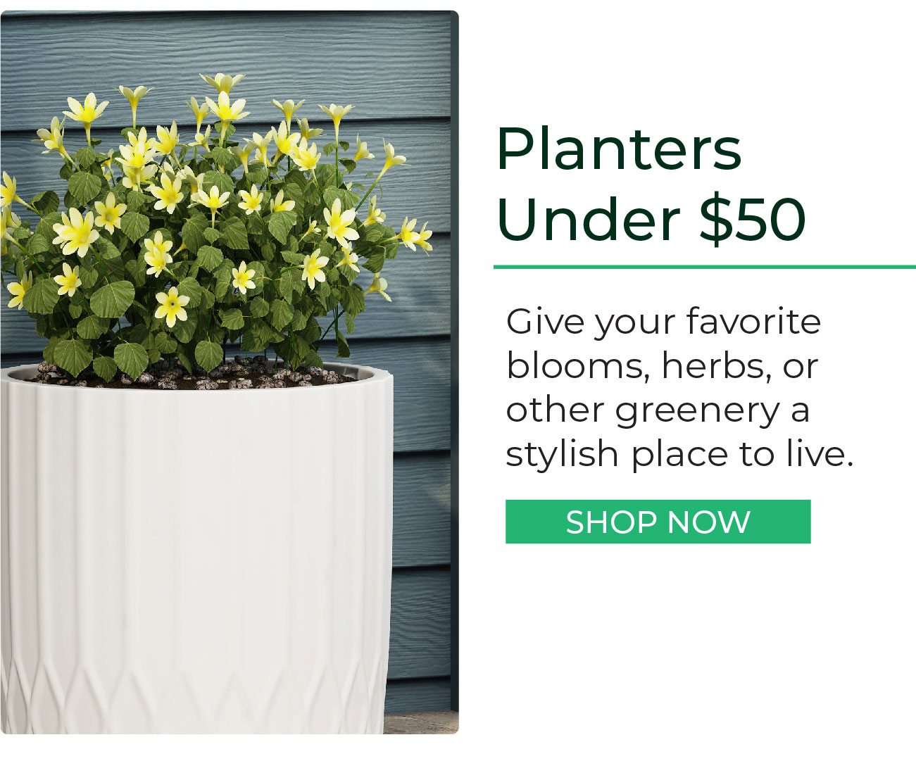 Planters Under $50