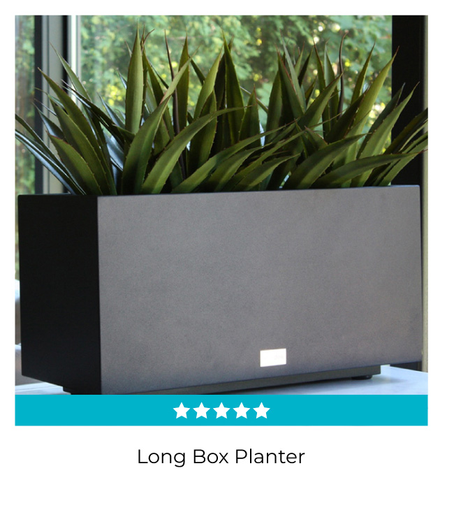 Long Box Planter | Shop Now!