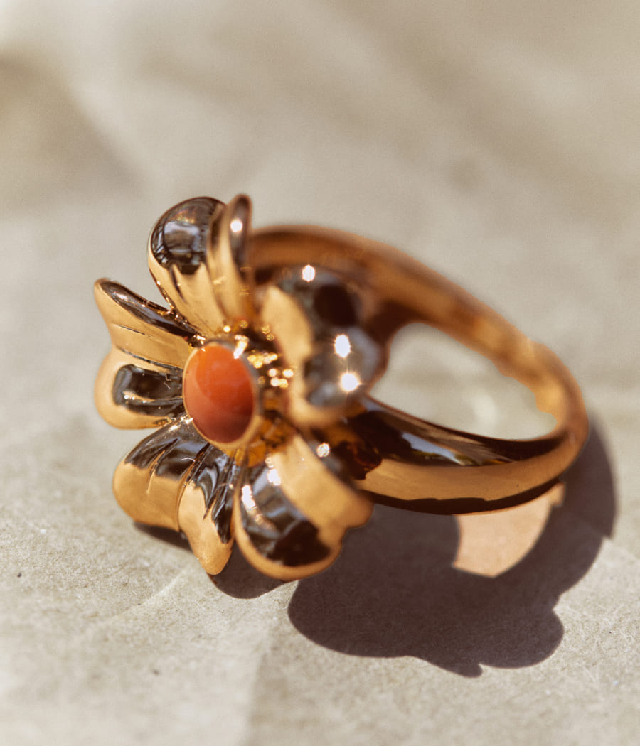 Nueva colección de joyas