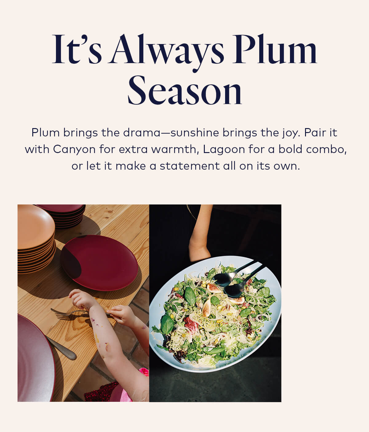 It's Always Plum Season