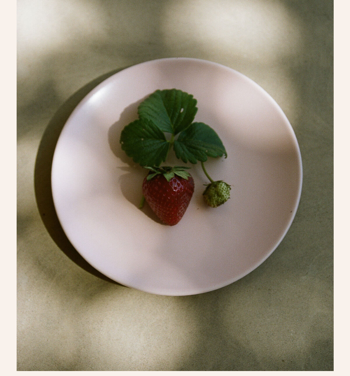 Gather and set a table worth lingering at.