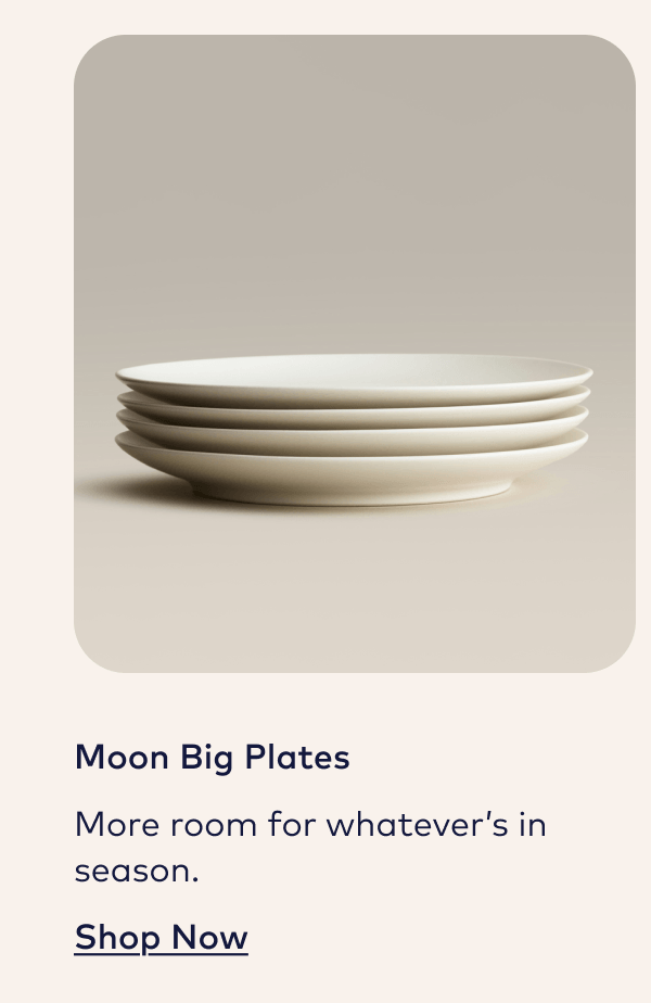 Moon Big Plates