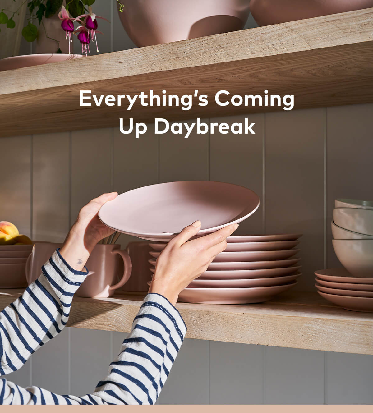 Everything's coming up daybreak