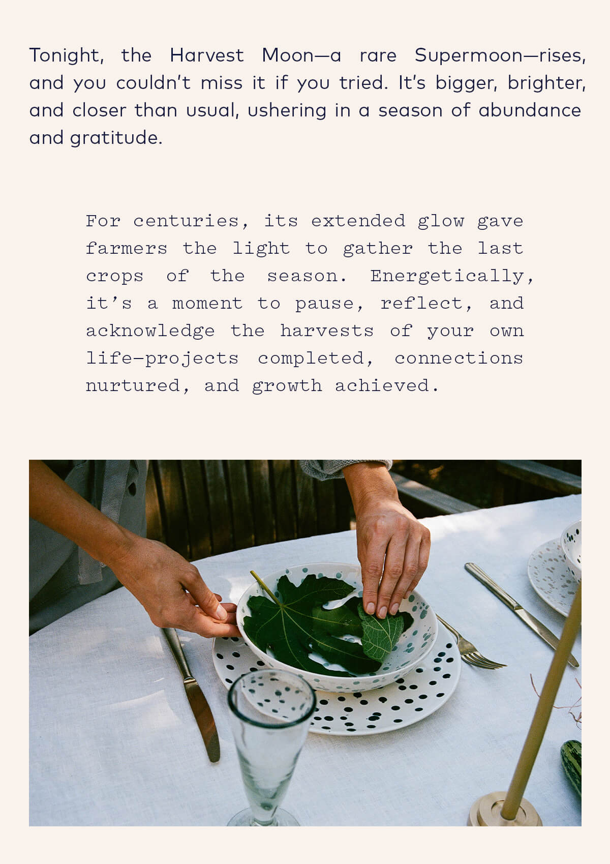 Tonight, the Harvest Moon rises Tonight, the Harvest Moon rises