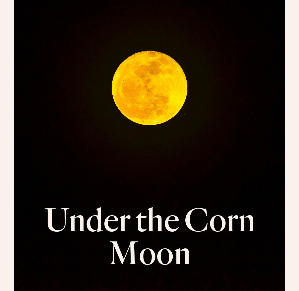 Slow down and reflect.