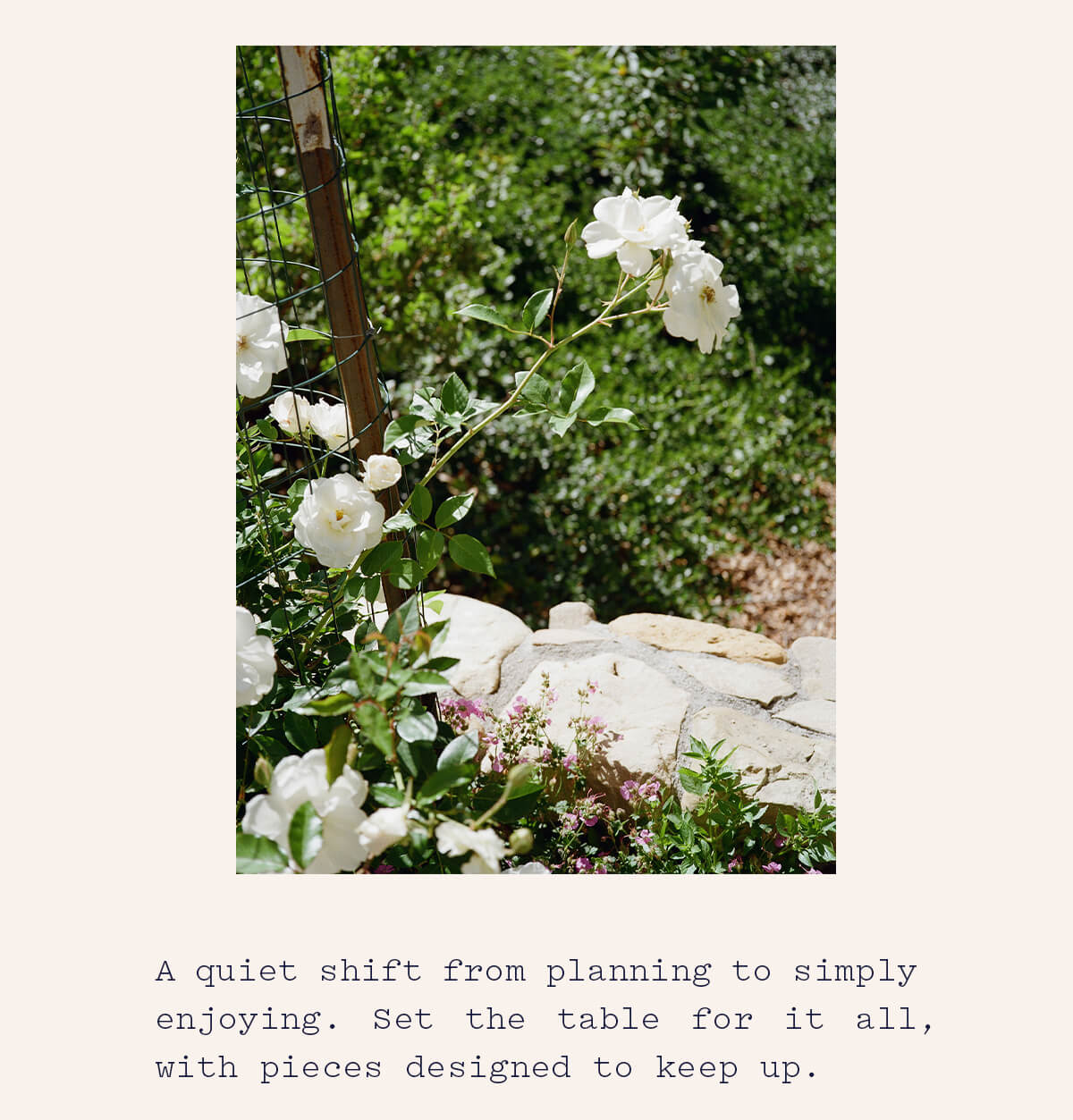 A quiet shift from planning to simply enjoying.