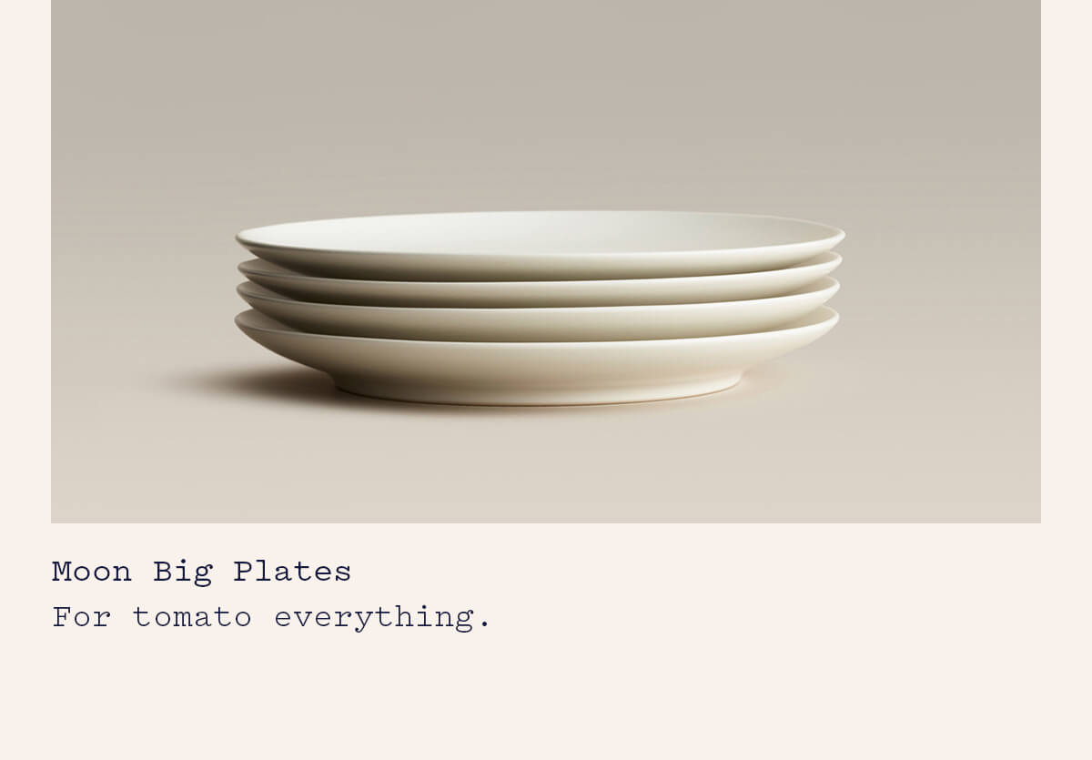 Moon Big Plates