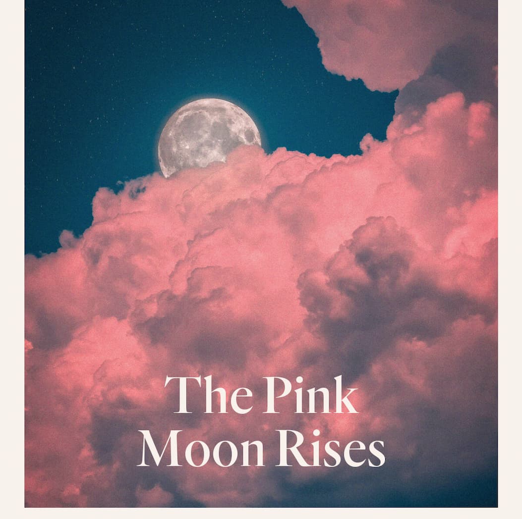 The Pink Moon Rises