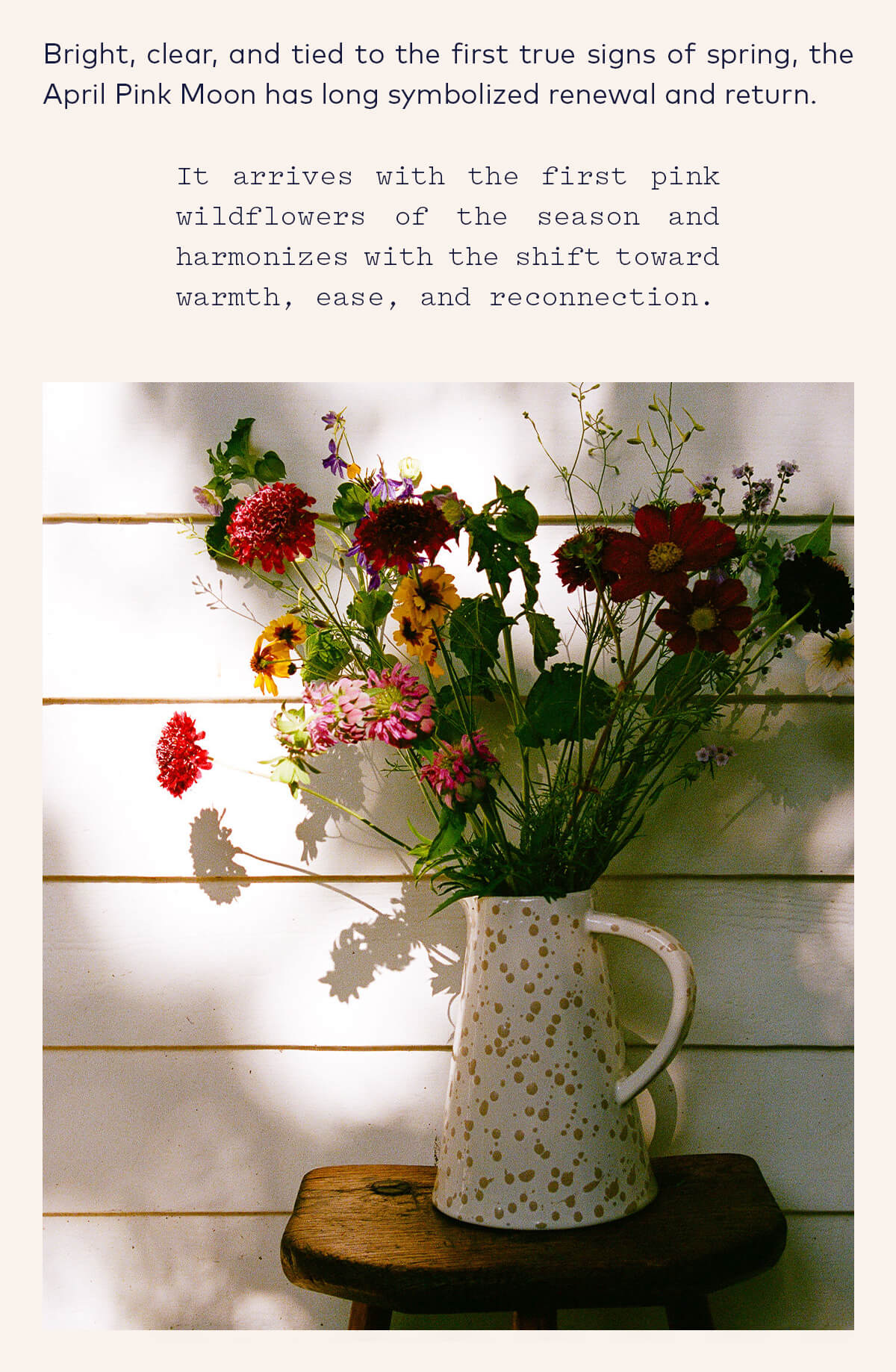 the April Pink Moon has long symbolized renewal and return