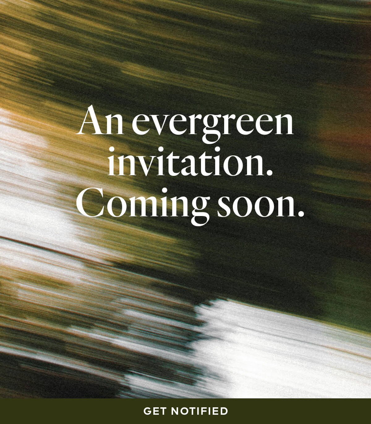 An evergreen invitation. Coming soon.