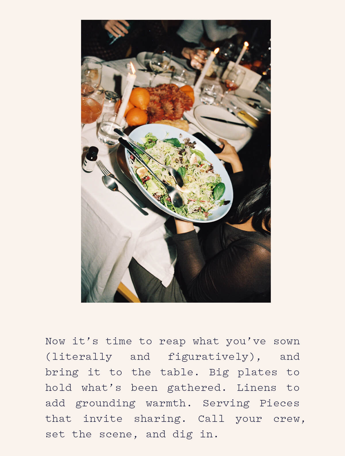 Now it's time to reap what you've sown Now it's time to reap what you've sown