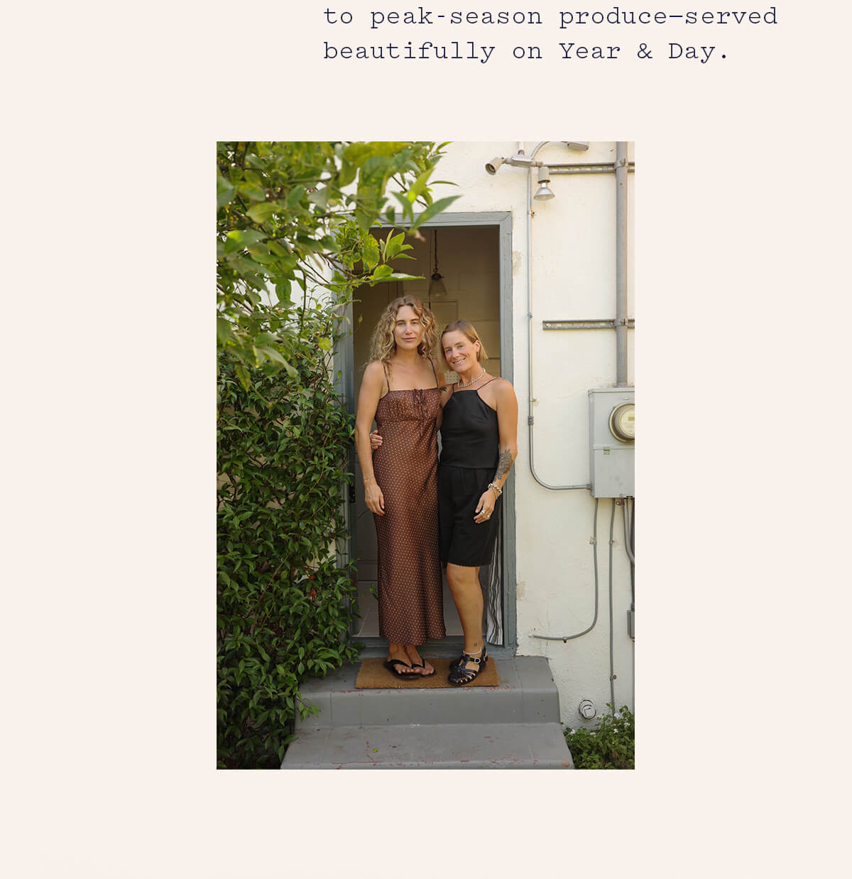 Summer tomatoes in abundance.