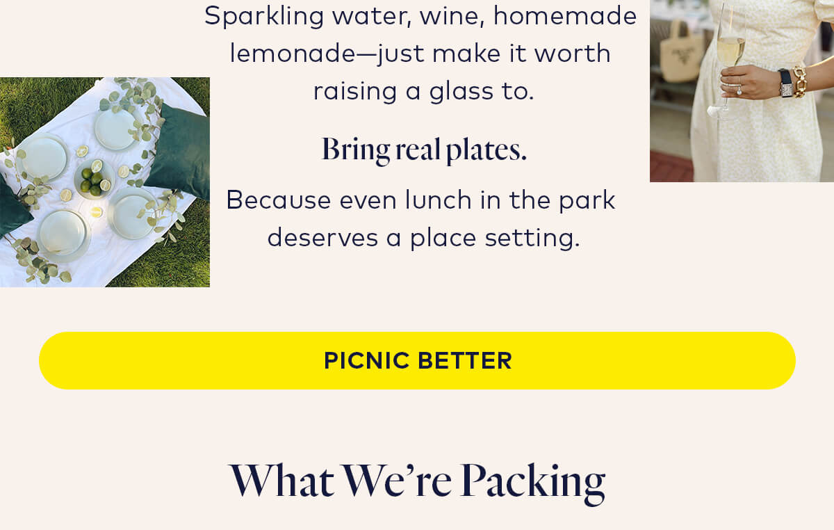 Picnic Better