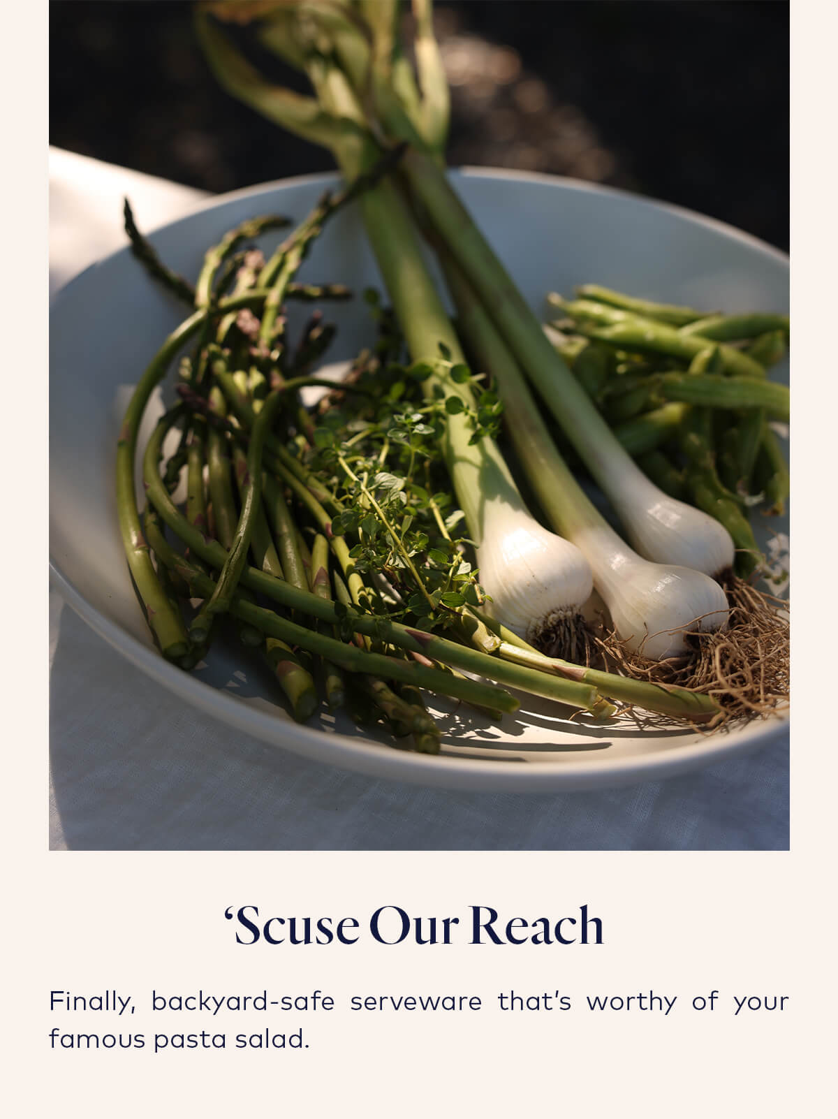 'Scuse Our Reach