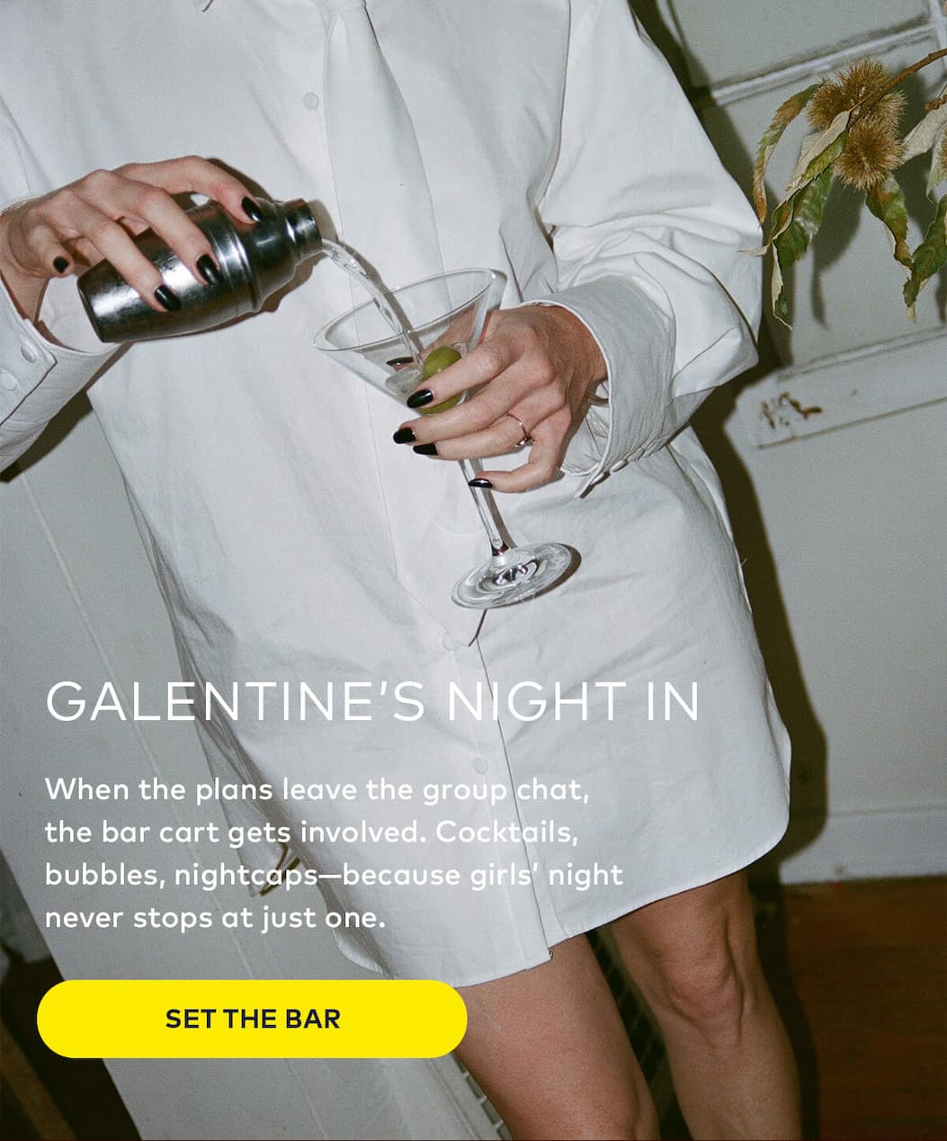 Galentine's Night In