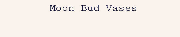 Moon Bud Vases