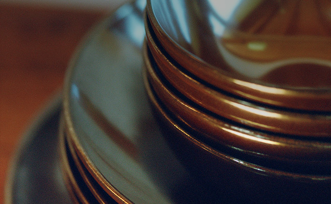 Sequoia Up Close